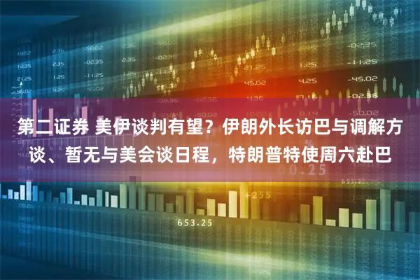 第二证券 美伊谈判有望？伊朗外长访巴与调解方谈、暂无与美会谈日程，特朗普特使周六赴巴